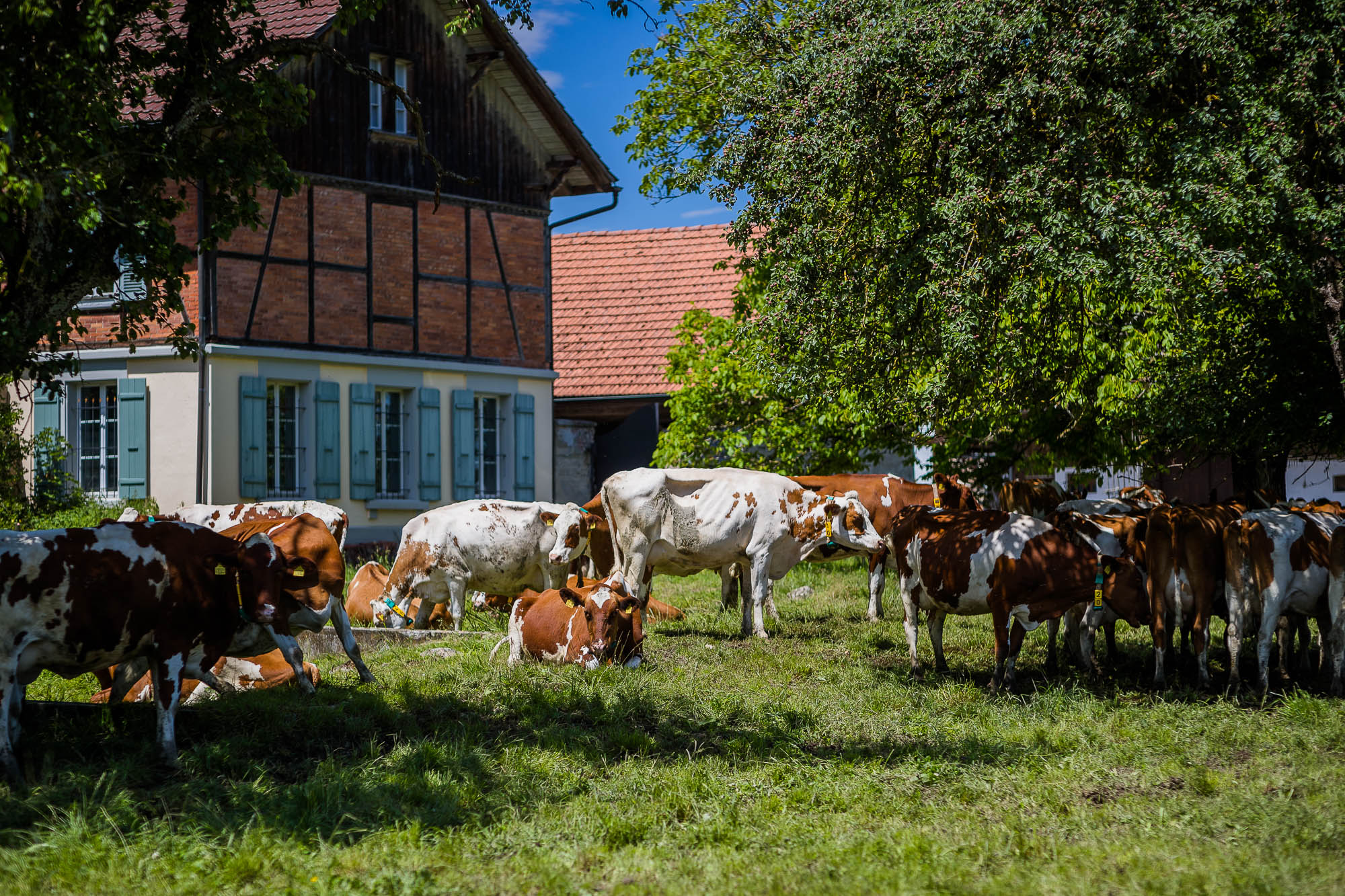Export x3 1DX27592 Hochzeit 2020 Claudia & Marco